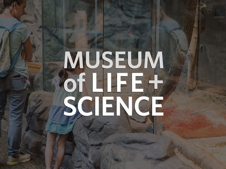 museum-of-life-and-sciences